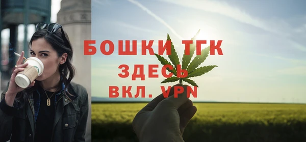 гашик Надым