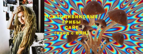 гашик Надым