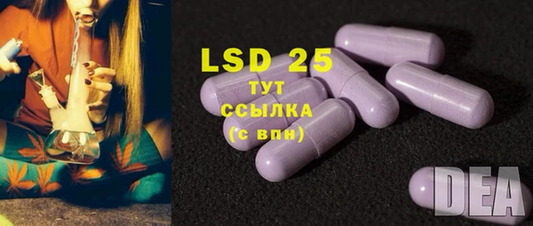 гашик Надым