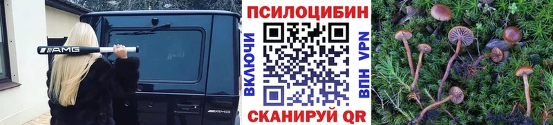 дарнет шоп  Артёмовский  Псилоцибиновые грибы мицелий 
